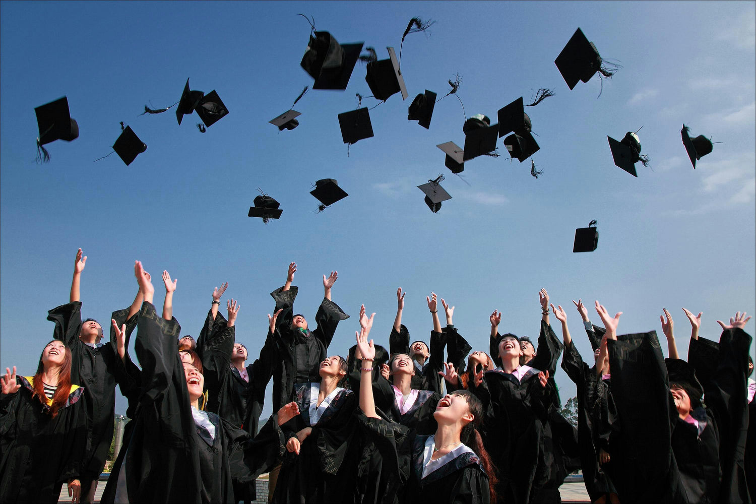 Laurea