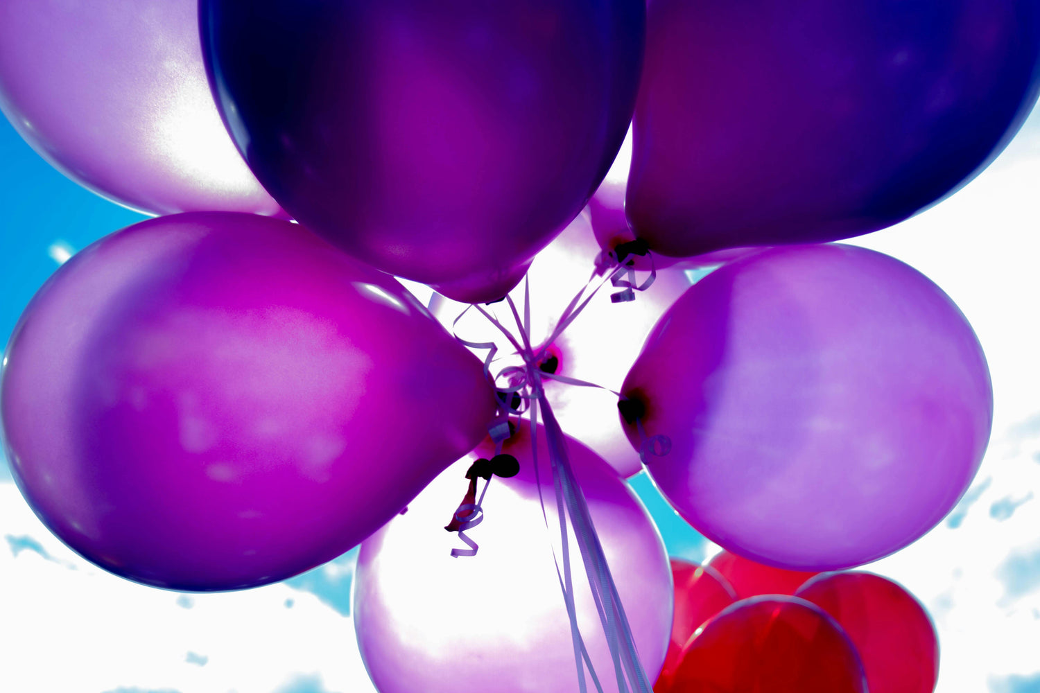 Palloncini standard